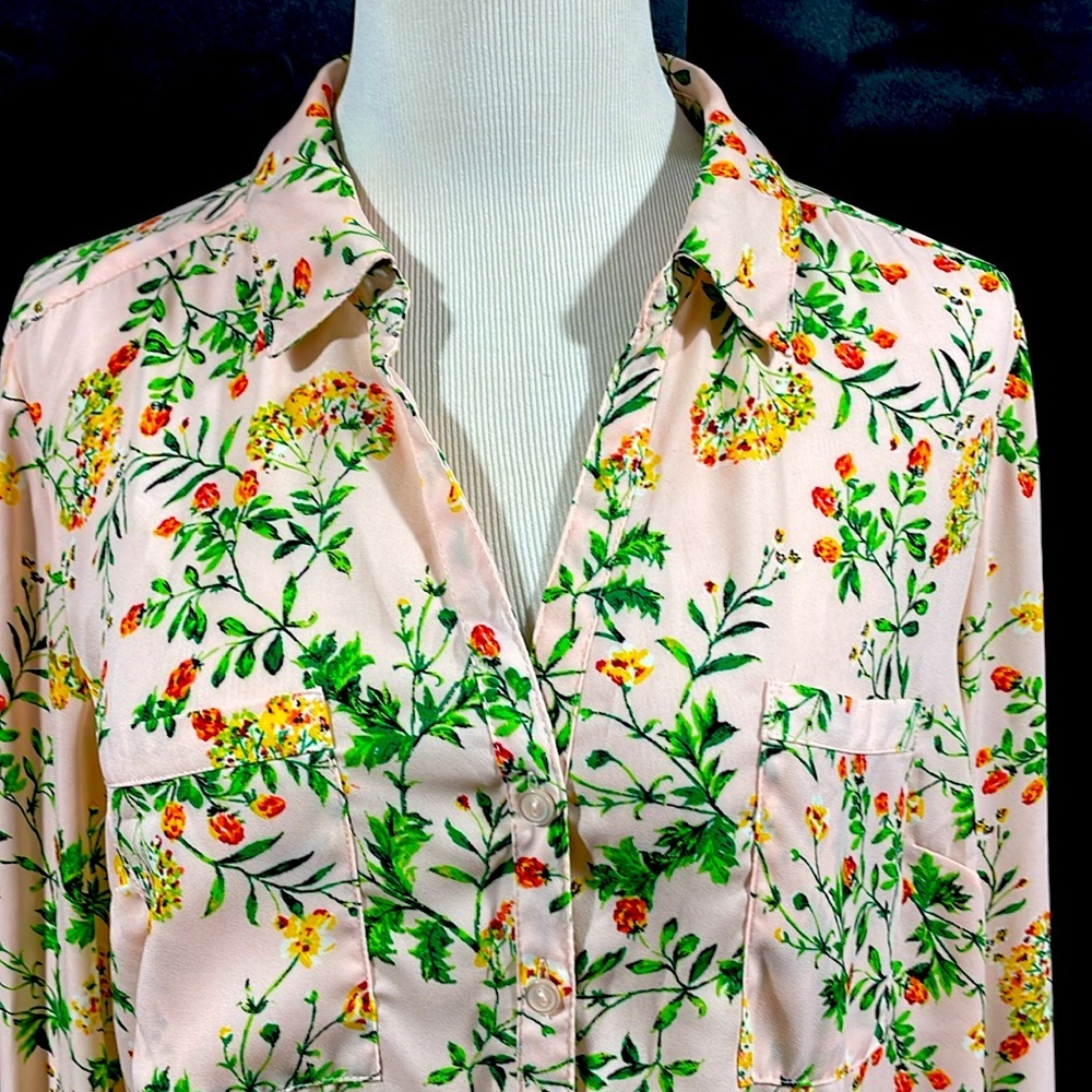 Pink and Green Long Sleeve Button Down Shirt with Notched Collar